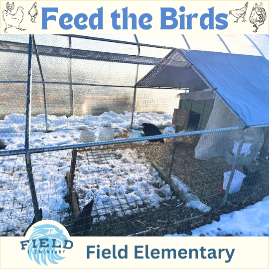 Feed the Birds